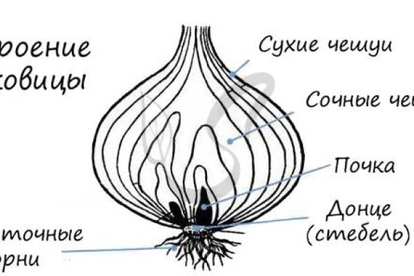 Кракен рынок сайт