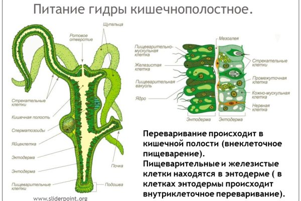 Кракен ссылка оригинал