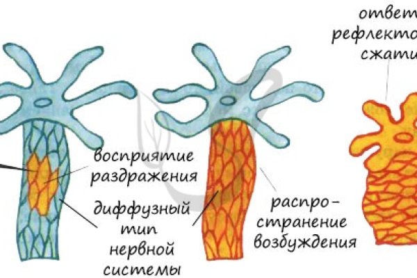 Официальная ссылка на кракен в тор